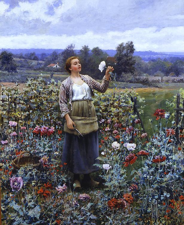 Daniel Ridgeway Knight Picking Poppies Germany oil painting art